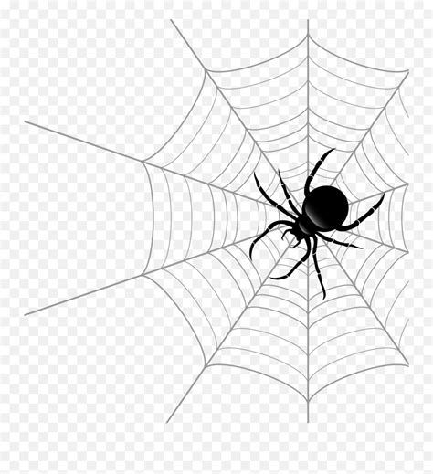 Spider Web Theridiidae Euclidean Vector Vector Spider On Web Png