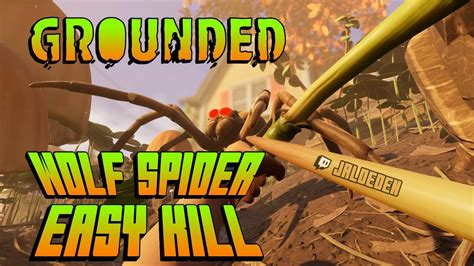 How To Kill A Wolf Spider Grounded