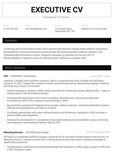 Executive Cv Example Template And Writing Guide