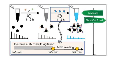 Five Minute Magnetic Nanoparticle Spectroscopy Based Bioassay For