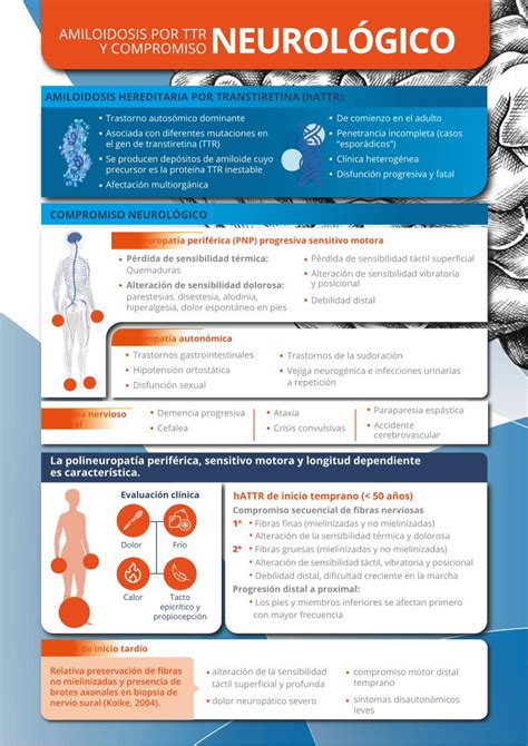 Pdf Amiloidosis Por Y Compromiso Ttr Neurol Gico Dokumen Tips