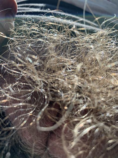 My Hairy Beast in all her glory. You can get lost in this jungle