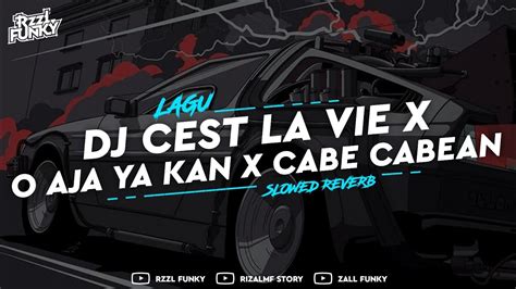 DJ CEST LA VIE X O AJA YA KAN X CABE CABEAN Slowed Reverb YouTube