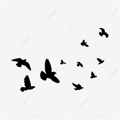 Soaring Bird Silhouette PNG Free, Flying Bird Silhouette Soaring In The ...