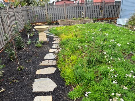 Backyard Renovation with Native Plants - Marion SWCD