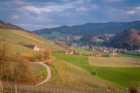 Weinproben Breisgau Badische Weinstraße