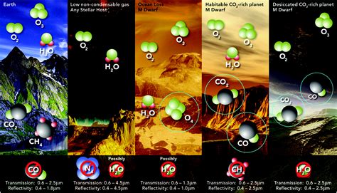 NASA Astrobiology Institute