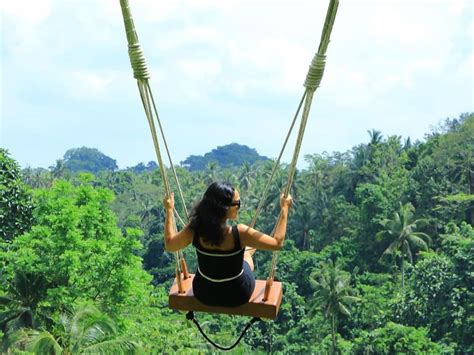 Ubud And Jungle Swing Tour Package Bagus Bali Tour