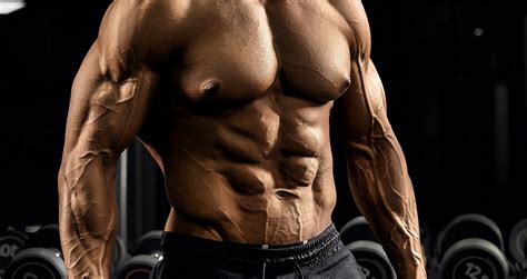 types  muscle examples  muscle anatomy