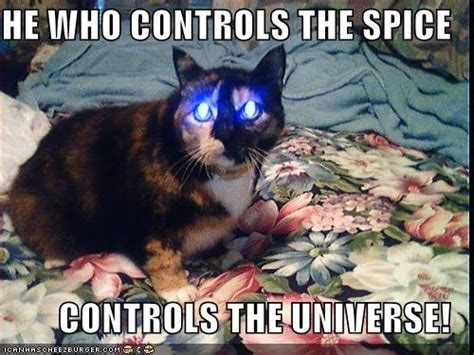 He Who Controls The Spice Controls The Universe Christmas Cats Cat Quotes Funny Christmas