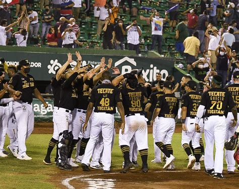 Top Imagen Campeones Leones De Yucatan Abzlocal Mx