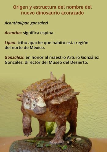 Descubren Nueva Especie De Dinosaurio Acorazado En Coahuila