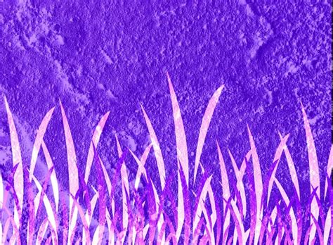 Purple grass Stock Photos, Royalty Free Purple grass Images | Depositphotos