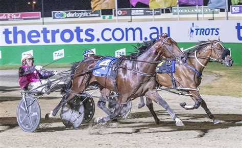 Poster Boy Sires First Winner Australian Standardbred Breeders