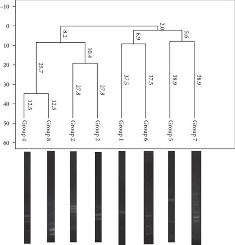 Characterization and comparison of the bacterial communities between ...