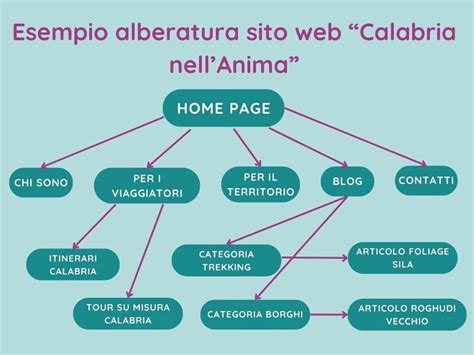 Come Creare Un Alberatura Efficace Del Tuo Sito Web