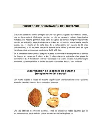 Germinacion De Durazno Palta Y Granadilla PDF