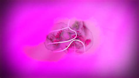 Queenroguexxx1 On Twitter Come Watch Me Drain My Pussy Thinking About That Good Dick