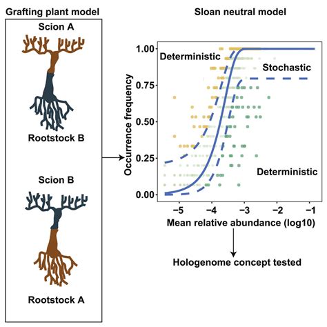 Evaluating The Hologenome Concept By Analyzing The Root Endosphere