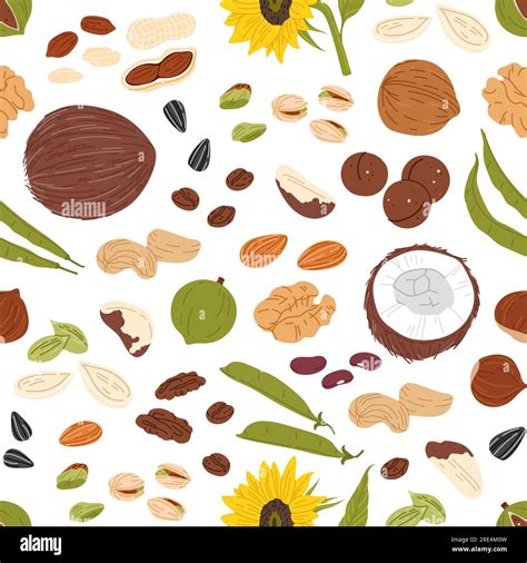 Brazil Nut Pods Stock Vector Images Alamy