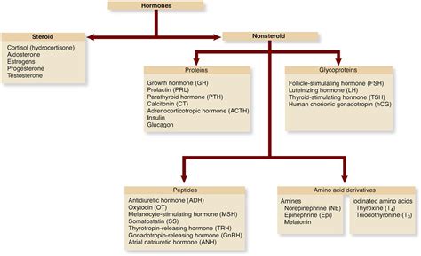 Endocrine Regulation Basicmedical Key