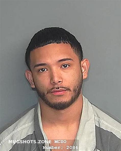 Gonzalez Gabriel Montgomery County Mugshots Zone