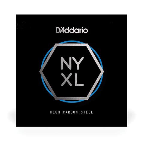 Amazon.com: D'Addario NYS010 Single Plain Steel Guitar String, .010 ...