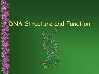 PPT - DNA Structure and Function PowerPoint Presentation, free download ...