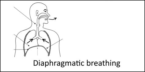 Diaphragmatic Breathing