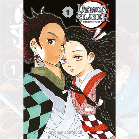 Demon Slayer Kimetsu No Yaiba Tome 01 Édition Collector Manganim