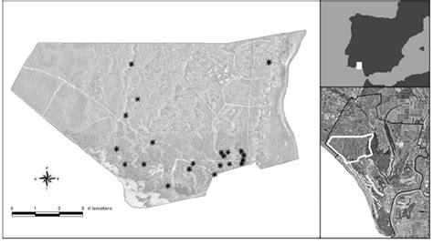 Location of the 22 temporary ponds in the Doñana Biological Reserve