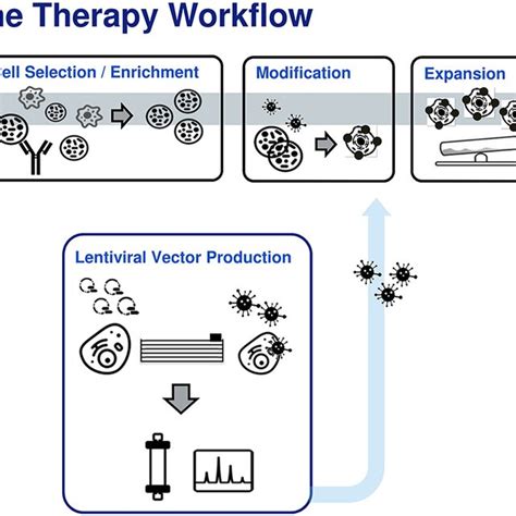 Generic Patient Specific Adoptive Immunotherapy Workflow Donor Download Scientific Diagram