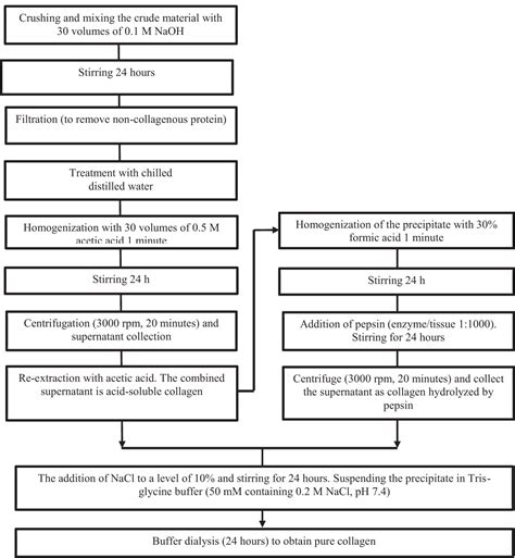 Social media is buzzing about Anthony Caruso and his latest move 36