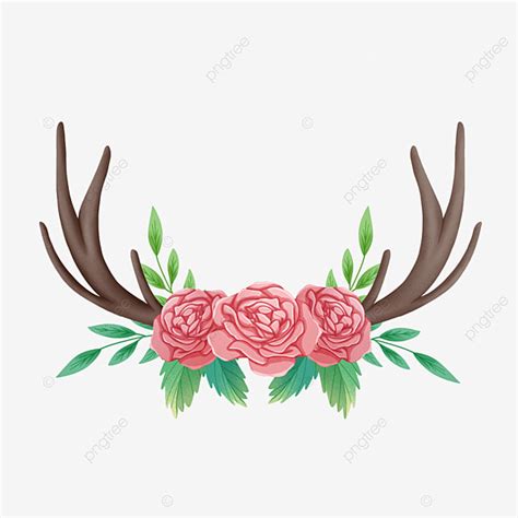 Antlers And Flowers Bohemian Antlers Bohemia Flowers PNG Transparent