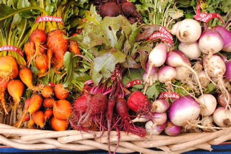 Get Rooted: A Farmers Market Guide to Root Vegetables : Foodwise