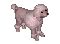 Dog Breeds Guide - The Sims Online Mania