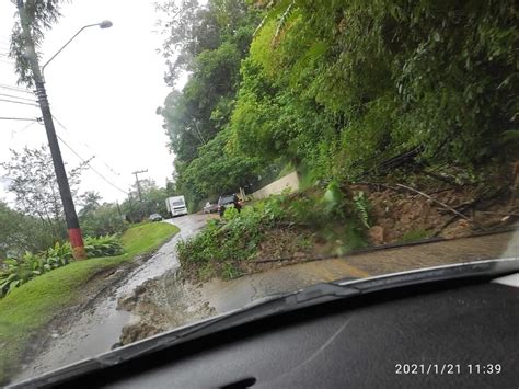 Rua Alberto Stein é parcialmente interditada por queda de árvore em