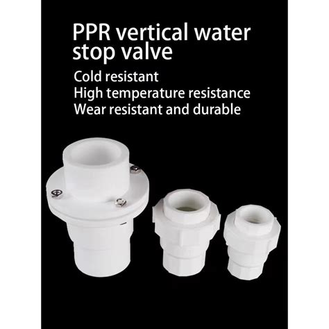 Ppr Check Valve Ppr Vertical Check Valve Points