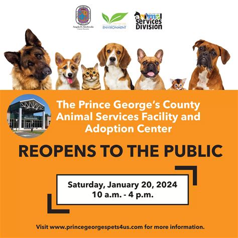 County Animal Shelter Reopens to the Public on Saturday, January 20 ...