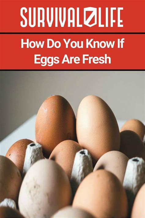 🥚🥚🥚😲know How To Tell If Eggs Are Still Fresh And Avoid Possible Health