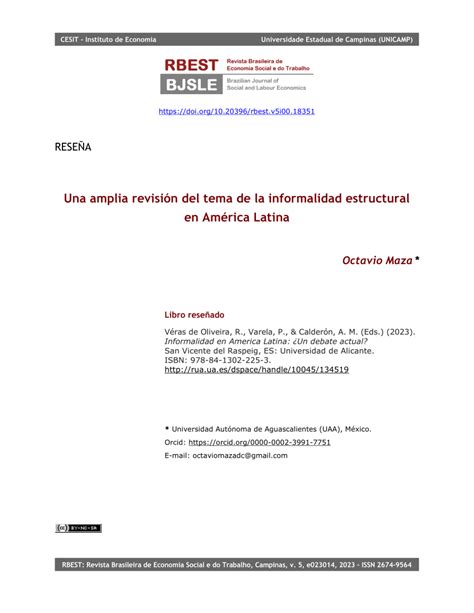 Pdf Una Amplia Revisi N Del Tema De La Informalidad Estructural En Am Rica Latina