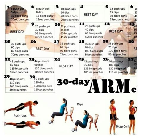 Printable 30 Day Arm Challenge