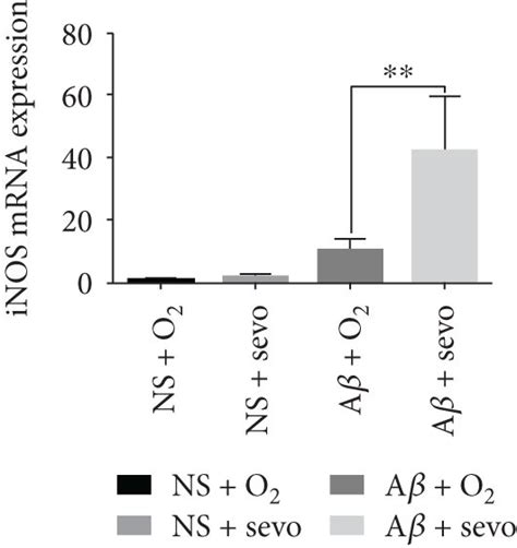 Sevoflurane Inhalation Influenced Protein Expression Of Bcl Xl