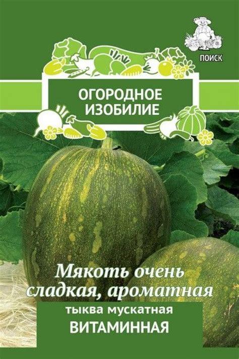 Тыква витаминная мускатная: описание сорта и фото, отзывы, выращивание