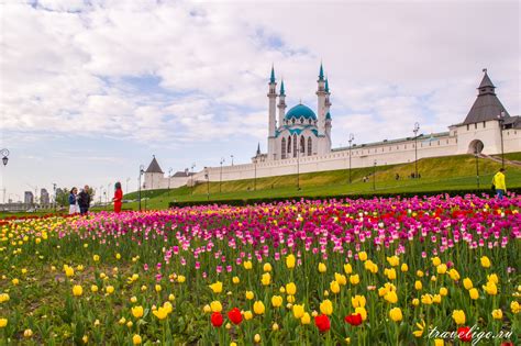 Природа Казани Фото – Telegraph