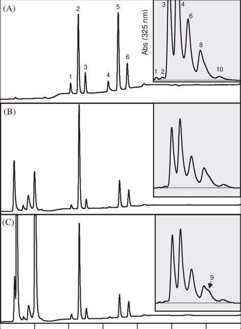 Chromatograms Of The Rp Hplc Of The Standards Of The Vitamin E Homologs Download Scientific