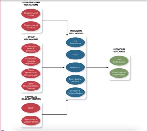 Lecture Organizational Culture Structure Behavior Flashcards