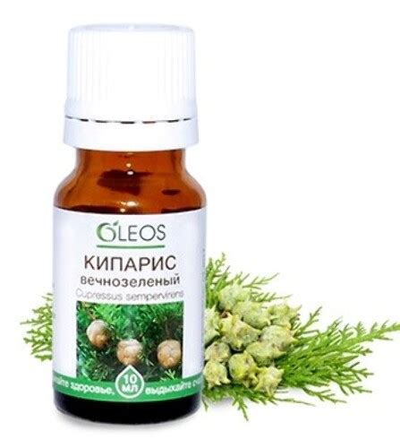 Oleos масло эфирное кипарис вечнозеленый 10 мл - цена 261 руб., купить ...
