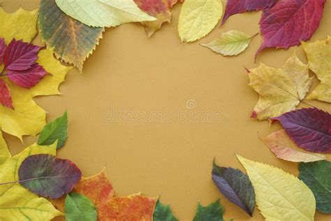 Autumn Leaves on a Brown Background Stock Photo - Image of decoration ...