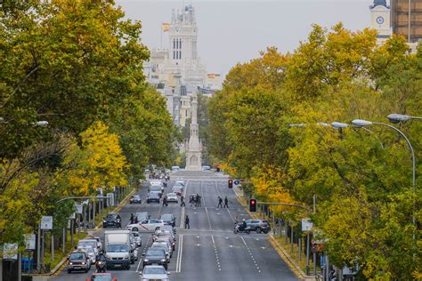 Paseo De La Castellana Horarios Tiendas Y Ofertas Riset